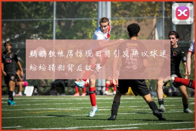 鹈鹕教练席惊现旧将引发热议球迷纷纷猜测背后故事