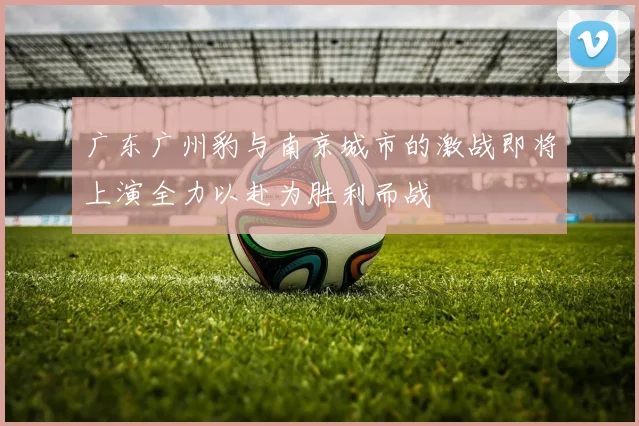 广东广州豹与南京城市的激战即将上演全力以赴为胜利而战