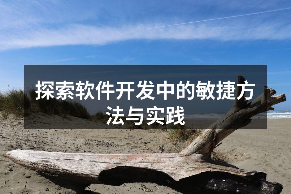 探索软件开发中的敏捷方法与实践